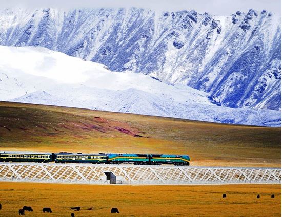 圖片 LXA11D 西藏、青藏鐵路、青海天路之旅 11天