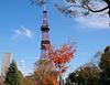 圖片 日本北海道 5天4夜 “2020 新行程“