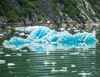 圖片 阿拉斯加 - 冰河 八天豪華郵輪 (西雅圖來回)