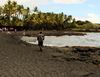 圖片 Hilo-1C 大島環島(東,南,西岸)-柯納咖啡園-黑沙灘-火山國家公園深度一日遊