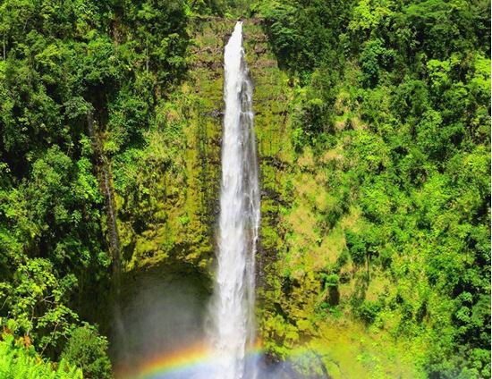 圖片 Hilo-1B 大島希洛-阿卡卡瀑布-岩漿樹公園一日遊