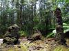 Picture of BIH1B Big Island Akaka Falls Lava Tree State Parks