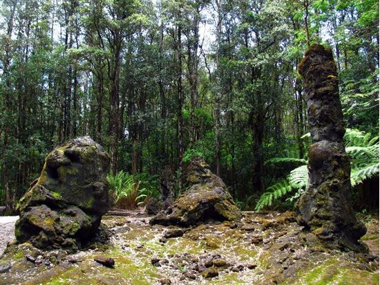 Picture of BIH1B Big Island Akaka Falls Lava Tree State Parks