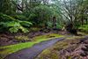 Picture of BIH1B Big Island Akaka Falls Lava Tree State Parks