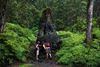 Picture of BIH1B Big Island Akaka Falls Lava Tree State Parks