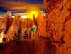 圖片 黃石公園- 羚羊峽谷- 布萊斯峽谷小眾深度五/七日遊 ( (兩晚住黃石)
