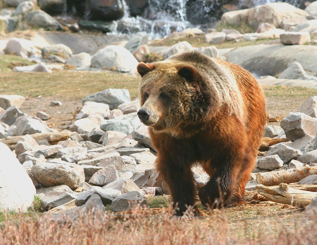 YZ Yellowstone Lower Antelope Canyon Horseshoe BendGrand Teton