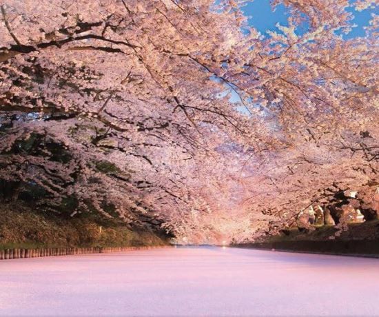 圖片 日本十大絕景 「春之章」 超級豪華遊 12天10夜