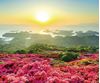 圖片 日本十大絕景 「春之章」 超級豪華遊 12天10夜