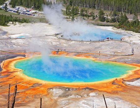 Picture for category Yellowstone