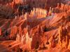 Picture of Laughlin - Grand Canyon - Antelope Canyon - Horseshoe Bend - Las Vegas 4 Days Tour