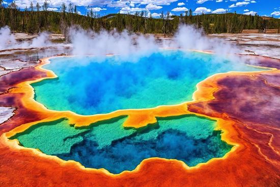 Picture of 冬日黃石 YW5 鹽湖城 - 國家高角鹿保護區 - 大提頓國家公園 - 黃石國家公園 5日遊